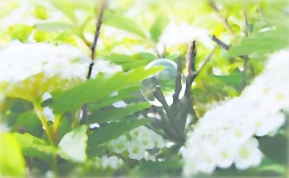 なぜ、生きづらいのか